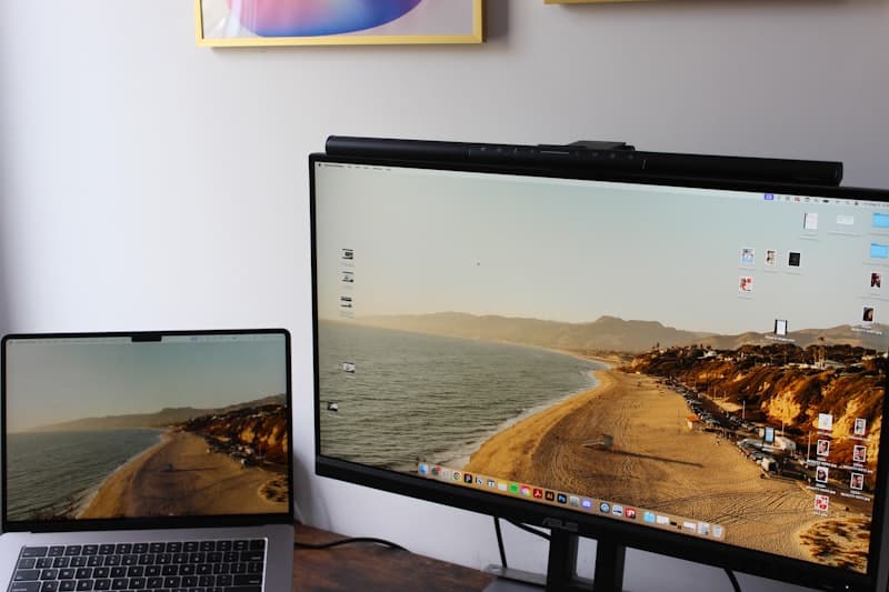 Portable Monitor 18.5"–24" (Touchscreen optional)